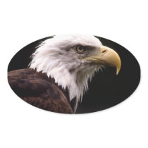 Eagle Head Study Sticker