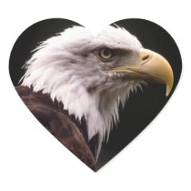 Eagle Head Study Sticker