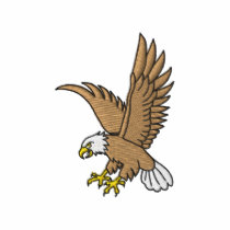 Eagle In Flight