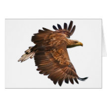 Eagle in Flight Greeting Card