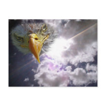 Eagle in the Clouds Postcards
