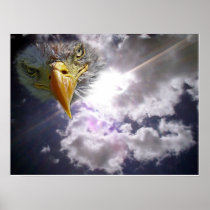 Eagle in the Sky Print