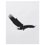 Eagle Landing Flyer