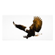 Eagle Landing Personalized Photo Card