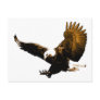 Eagle Landing Postcards