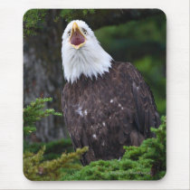 Eagle mousepads