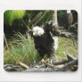 Eagle Mouse Pad