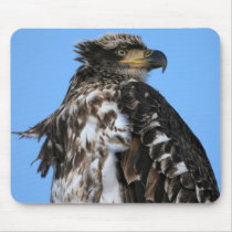 Eagle Mousepad