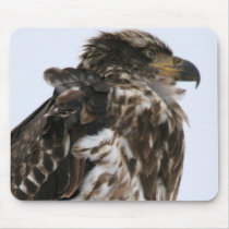 Eagle Mousepad