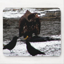 Eagle Mouse Mats