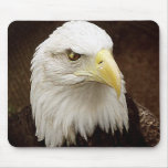 Eagle Mouse Mats