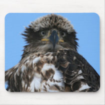 Eagle Mousepad