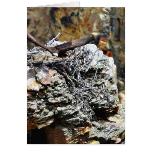 Eagle Nest Greeting Card