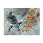 Eagle on a Maple Branch, Japanese Woodblock Print postcards