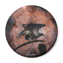 Eagle & Outer Space Gifts Fridge Magnets