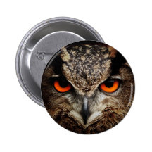 Eagle-Owl Buttons