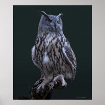 Eagle Owl Canvas Print