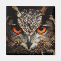 Eagle-Owl Fridge Magnets