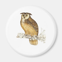 Eagle Owl Magnet