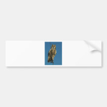 Eagle Owl on a yacht Bumper Stickers