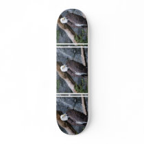Eagle Perch Skateboard