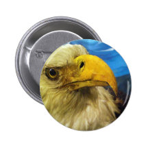 Eagle Pinback Button