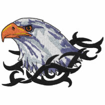 Eagle Portrait