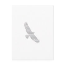 Eagle Post Cards