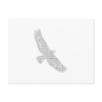 Eagle Post Card