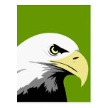 Eagle Postcard