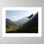 eagle posters