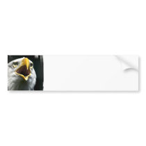 Eagle Screach Bumper Stickers