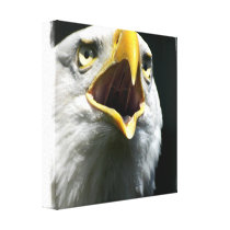 Eagle Screach  Canvas Print