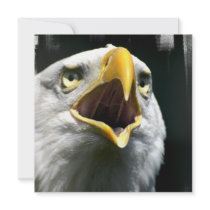 Eagle Screach  Invitations