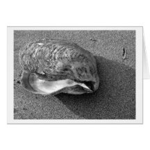 Eagle Shell (Black and White) Card