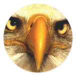 Eagle stickers