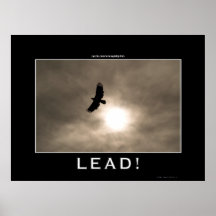 Eagle & Sun LEADERSHIP Motivational Photo Poster