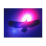Eagle Wings - Eagle in Flight Postcards