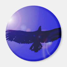 Eagle Wings Magnets