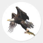 Eagle with Fish Round Stickers