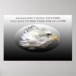 Eagles Don't Fly Together posters