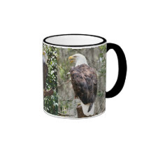 Eagles Mug