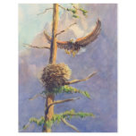 EAGLE'S NEST by SHARON SHARPE flyers