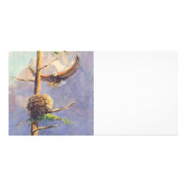 EAGLE'S NEST by SHARON SHARPE Photo Card