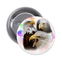 Eagles Pins