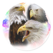 Eagles