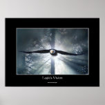 Eagle's Vision Misty Forest Wildlife Fantasy Art