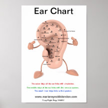 Ear Chart Print