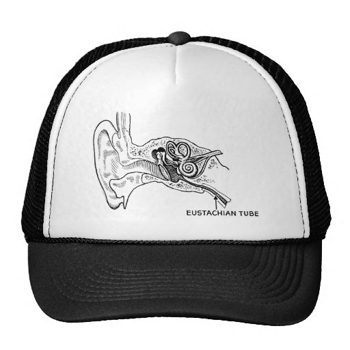 Ear diagram hat
