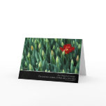 Early Bloomer, by Anna Wight cards